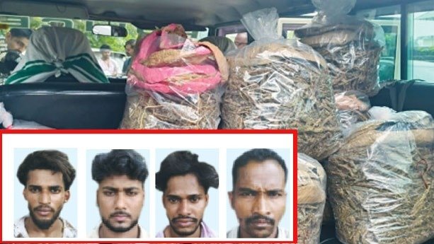 imageye___-_imgi_49_1763430971